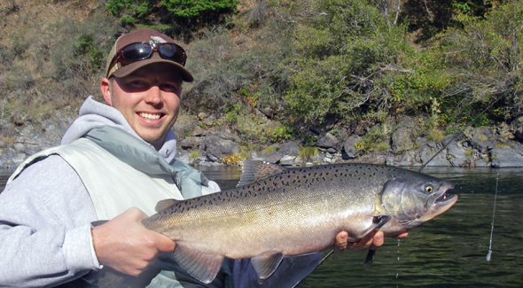 klamath-salmon Hopefully, we'll see more scenes like this when the Klamath Dams come down!