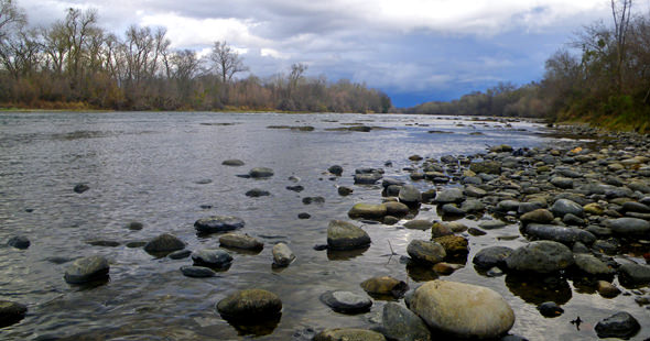 american-river The Lower American, just up from Watt Ave.
