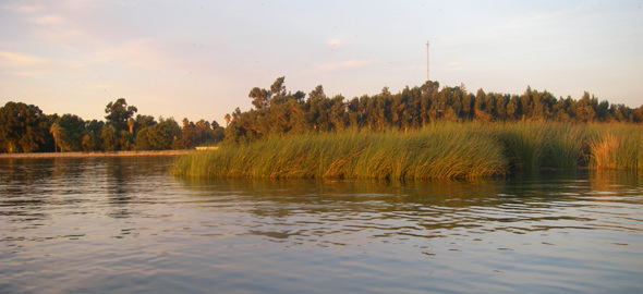 delta-tules Tule bank at the confluence of the San Joaquin and Mokelumne rivers