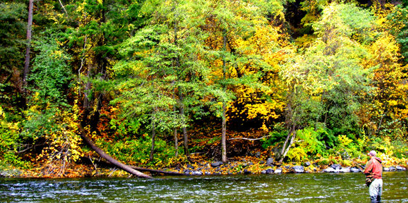 middle-trinity An angler working a steelie flat below Weaverville