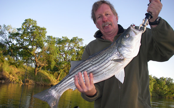 near-verona Fun with stripers near Verona!