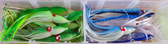 1hootchies Hali Calamari