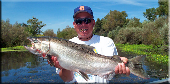 Diver Salmon 1 Smoke 'em if you got 'em...a diver caught king!