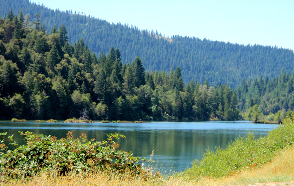 Lewiston Lake Fishing
