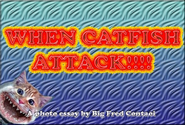 Catfish Attack