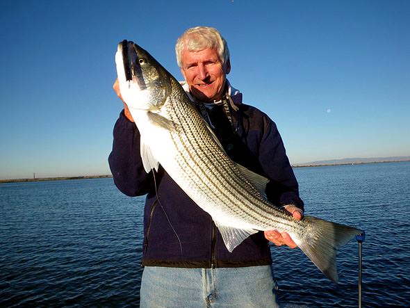 Jim Jones Topwater Striper