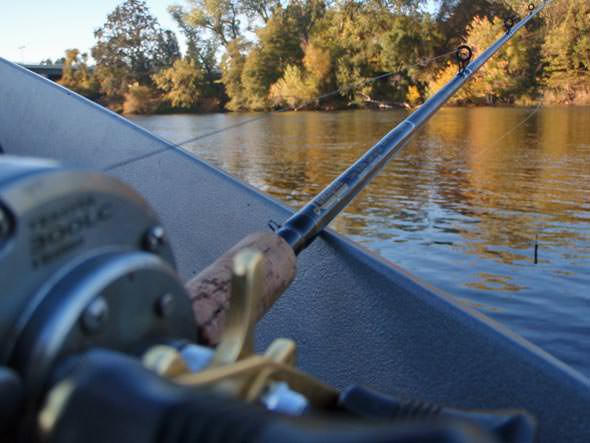Gunwale