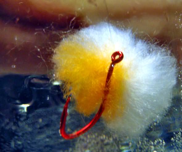 Yarnie underwater