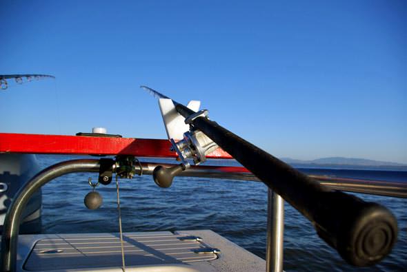 Balance Board