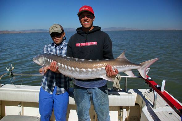Jay Lopes and Sturgeon