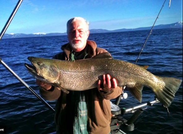 Record Brown Trout