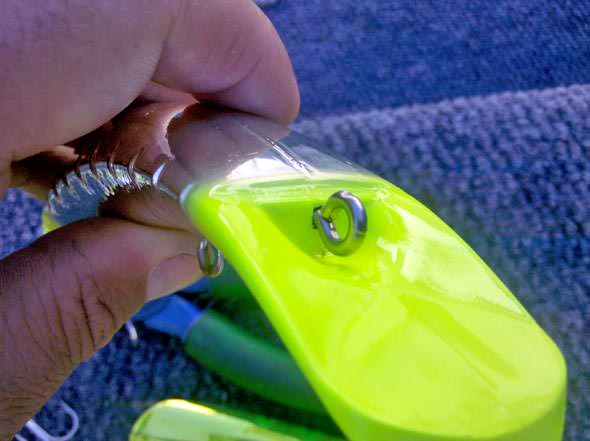 Hawg Nose Screw Eye