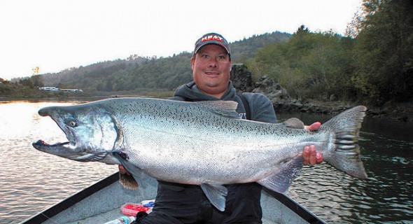 Giant Chetco River Chinook