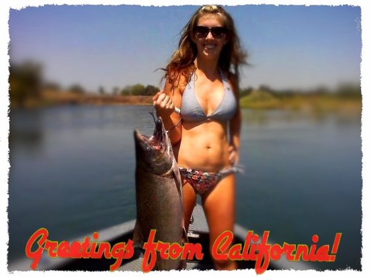 lake shasta in bikini long porn tube pussy lick