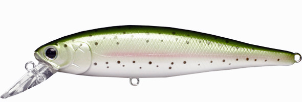 Bass Baits for Fall Trout