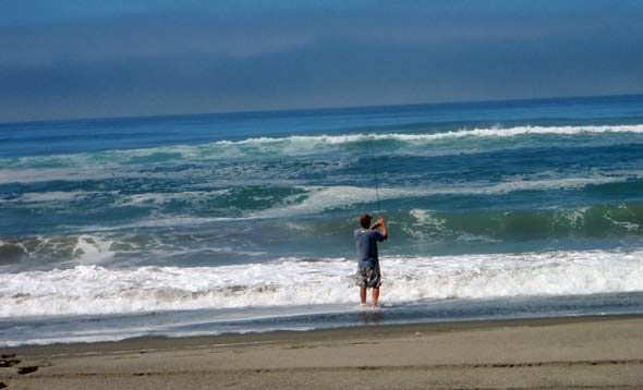 Surf fishing – Santa Cruz surf perch set for solid season (best baits &  tackle)