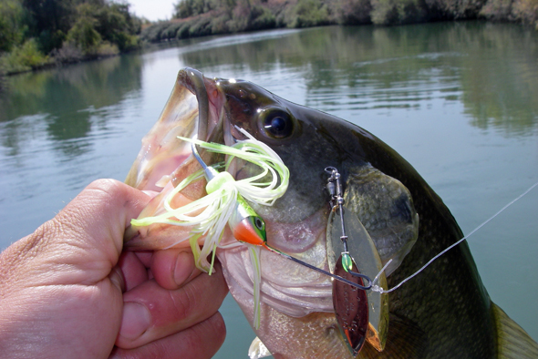 Spinnerbait for Bass, Attactive to Big Fish Long Service Life Bait