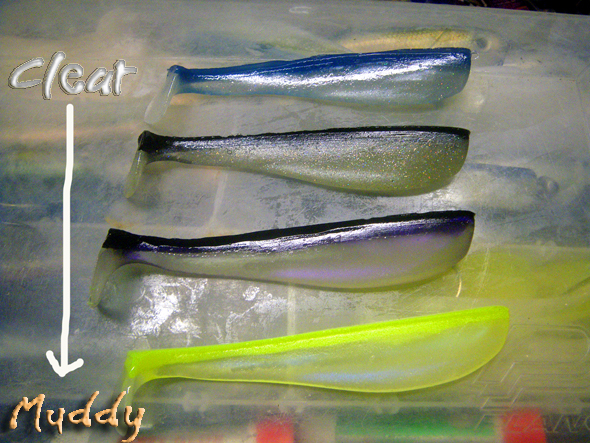 Swimbait Colors for Stripers