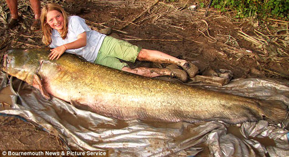 84-lb. Girl catches 193-lb. catfish!