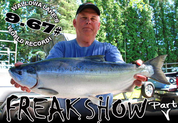 The new World Record Kokanee Salmon!