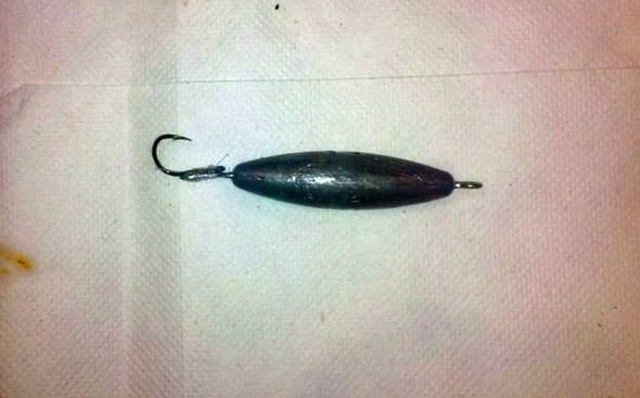 Cheating bass angler stuffs lead weights in fish; banned for life