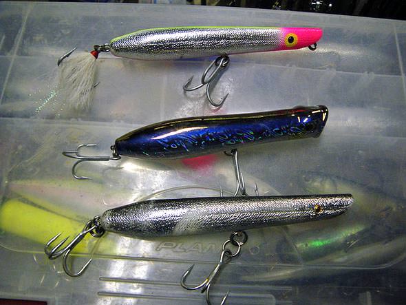 3 Tips to help you catch more topwater stripers
