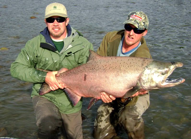 Skeena River King