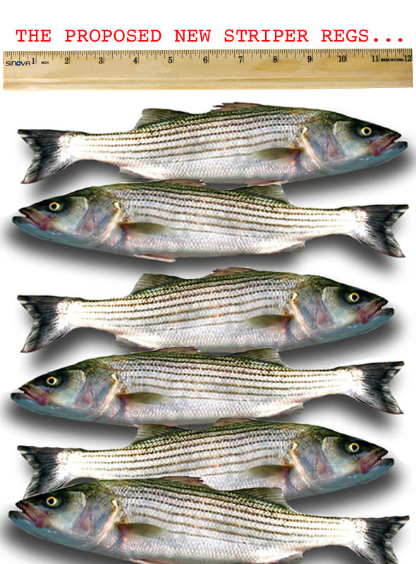 The proposed new changes to the California Striped Bass Regulations