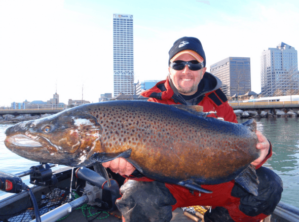 world record brown trout