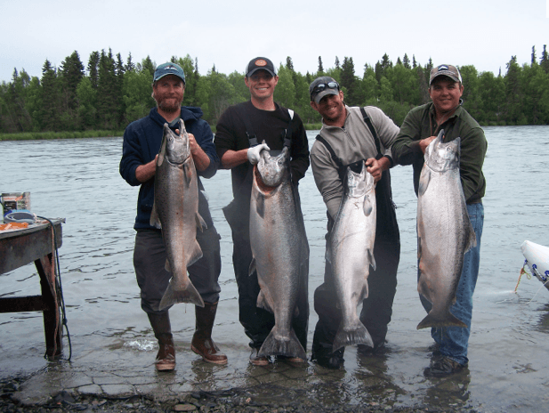 Kenai River Salmon