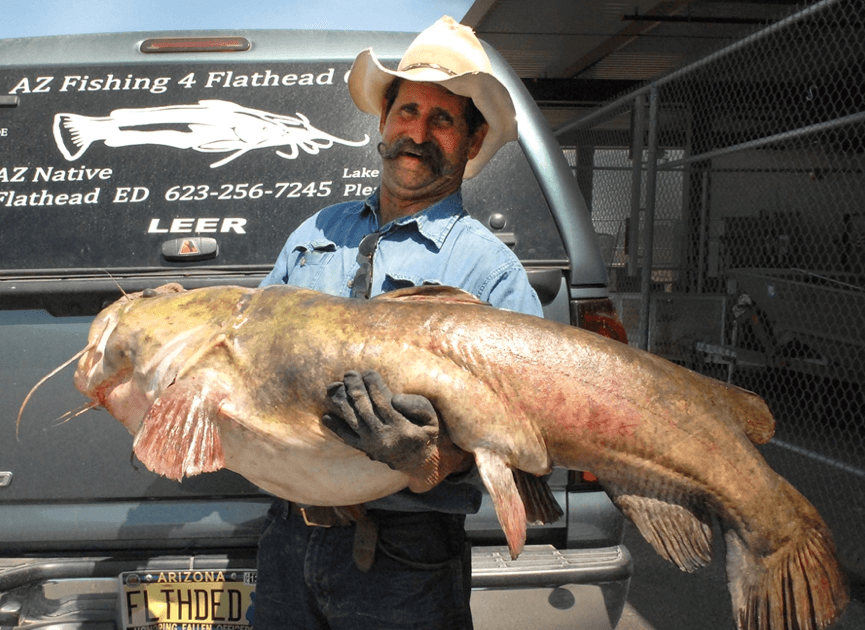 fishing planet catfish in texas