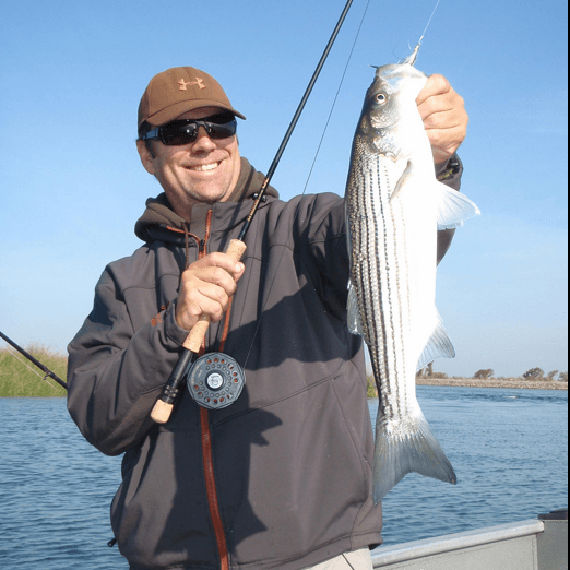 Stripers on the Fly: The Basics