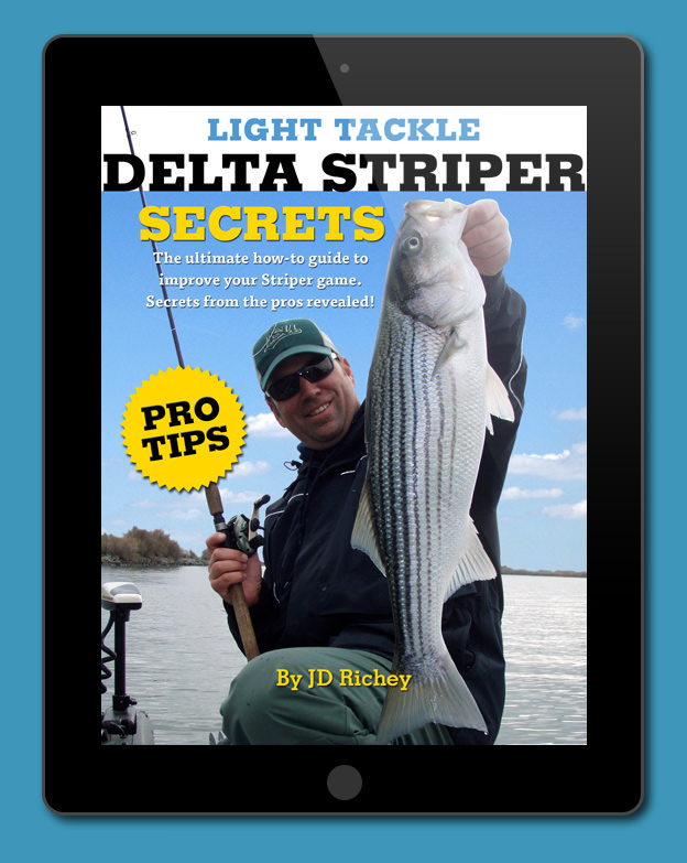 delta striper fly fishing guides
