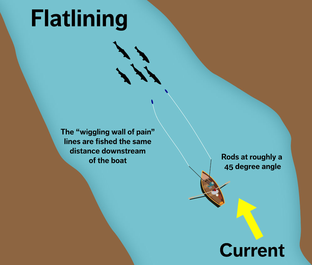 Flatlining for Salmon diagram