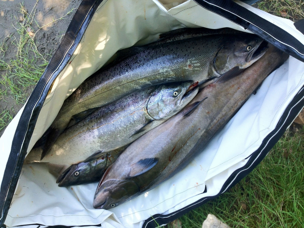 The Best Way To Keep Your Catch Fresh Is A Kill Bag