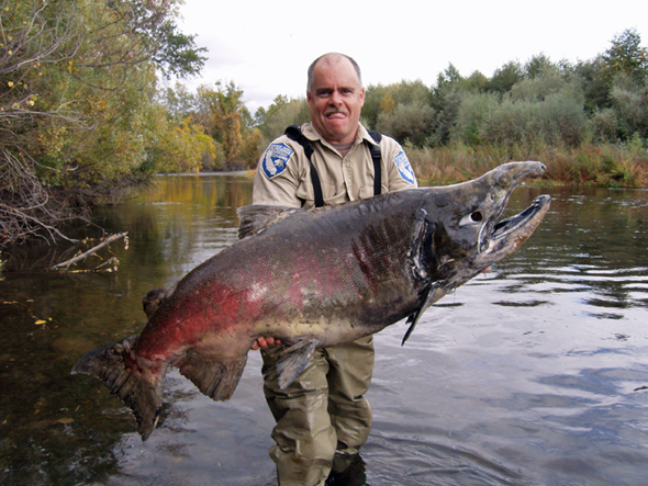 10 Of The World’s Biggest King Salmon