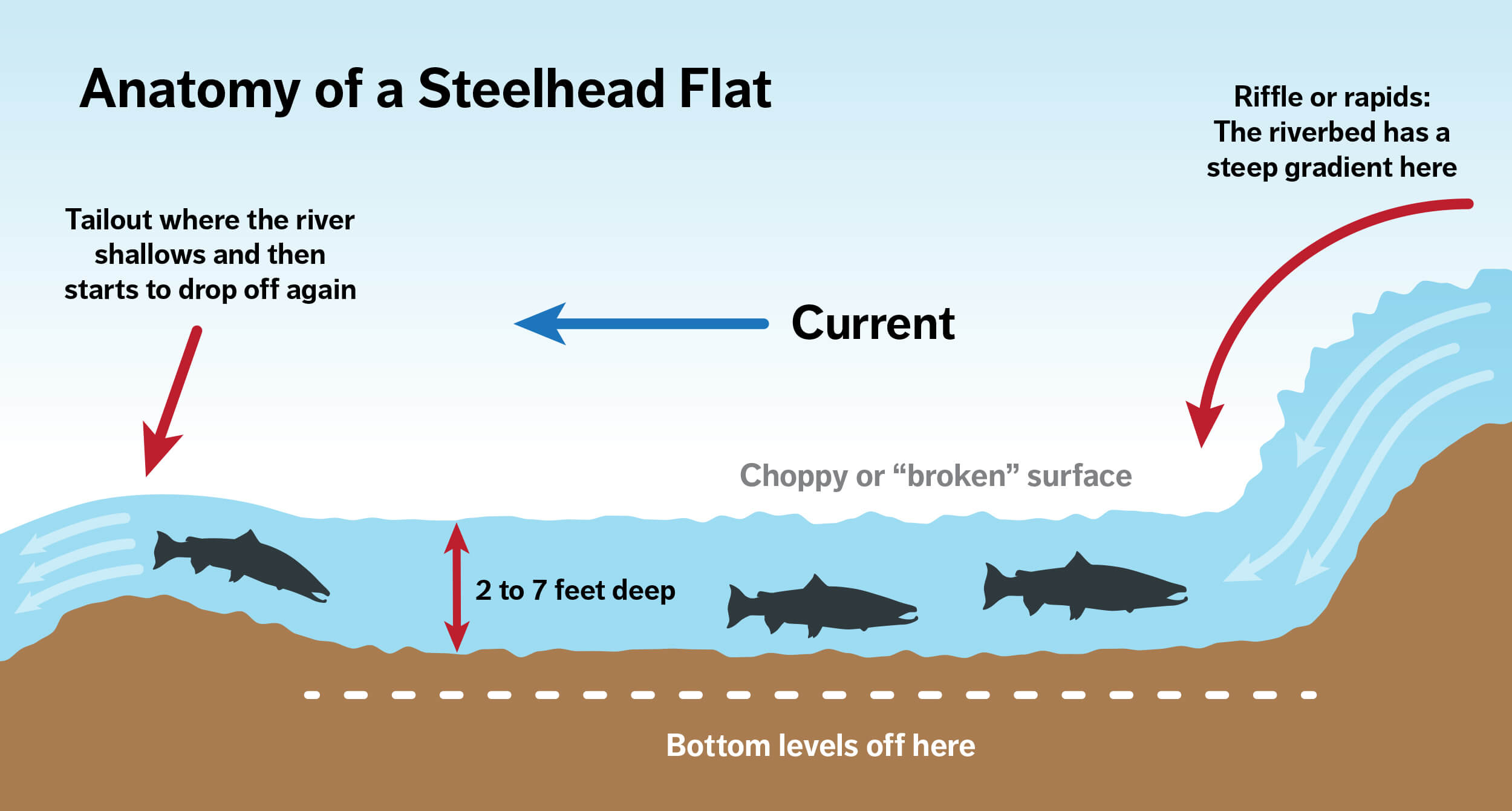 steelhead-hook-up-how-to-rig-up-steelhead-beads-2020-03-20