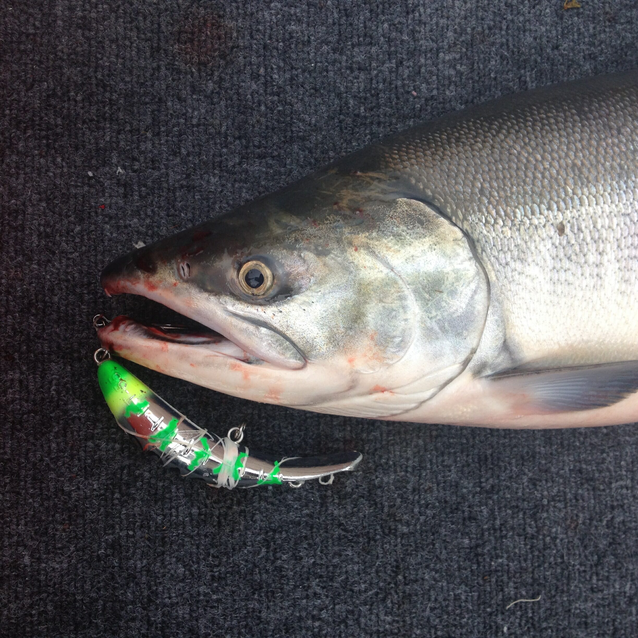 Hot Trick: How to Cast Plugs for King Salmon
