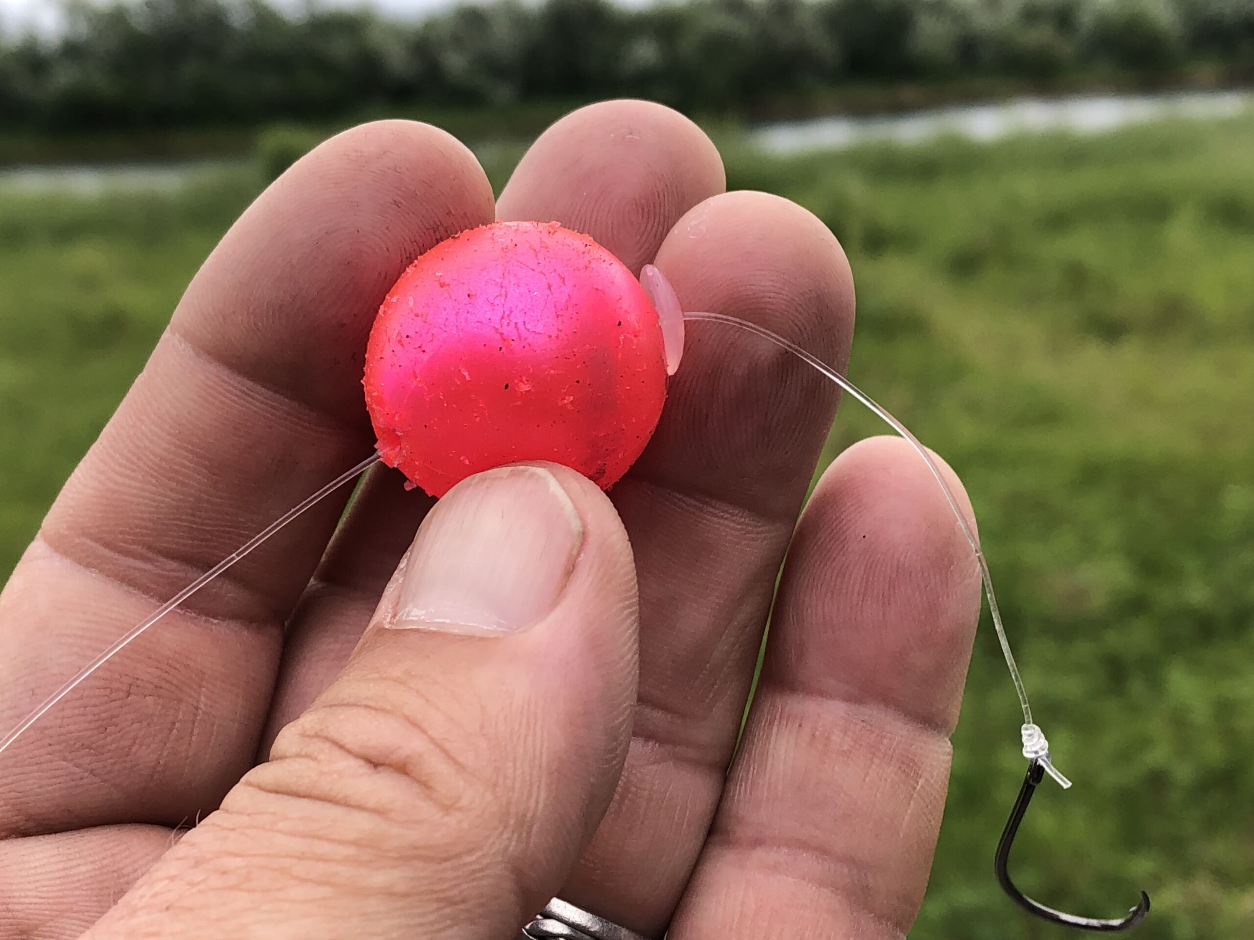 How to use Thirsty Beads to catch more salmon & steelhead 